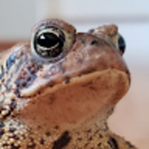 Meet your Posher, Heidi